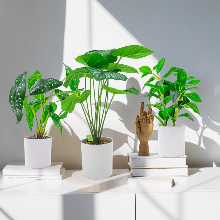 Primrue 14'' Faux Plant in Pot Wayfair